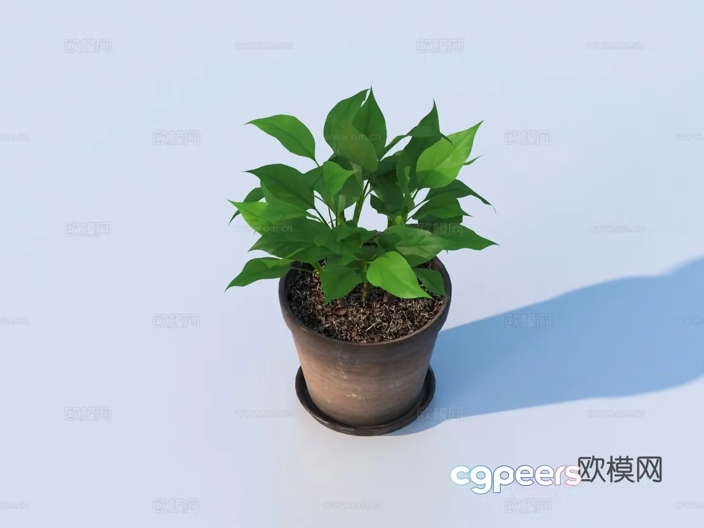 flowerpot potted plant green plant plant 3d model