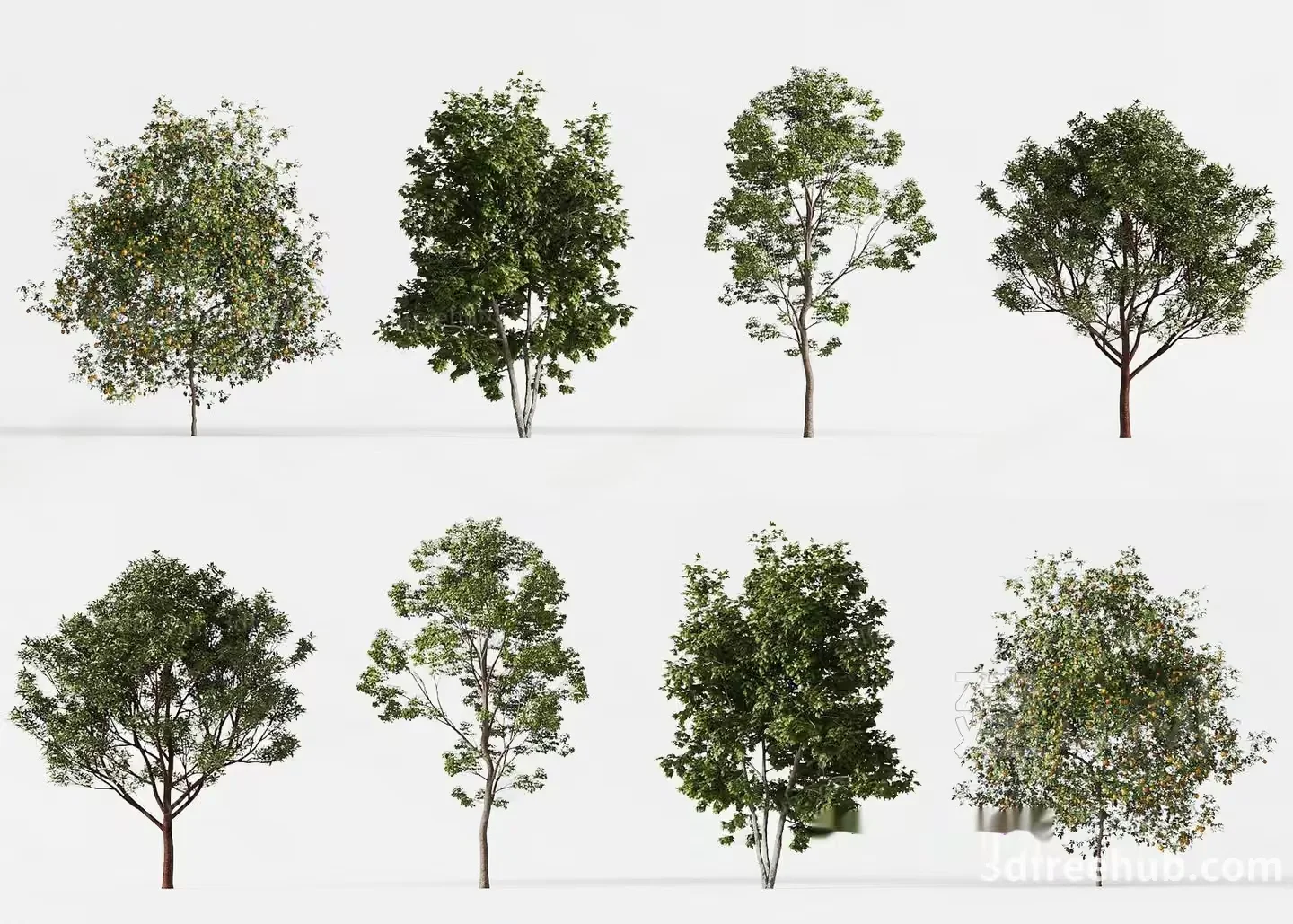 Trees With Green Leaves 3D Model – 22045 – VRAY Render