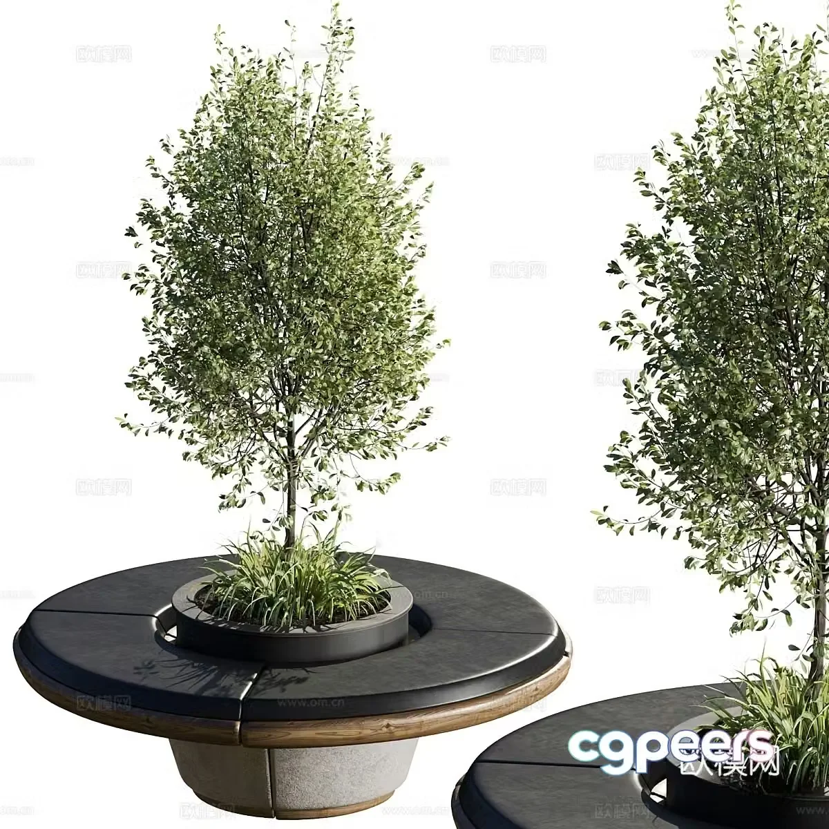 Modern outdoor chairs tree pool chairs courtyard green plants 3D model