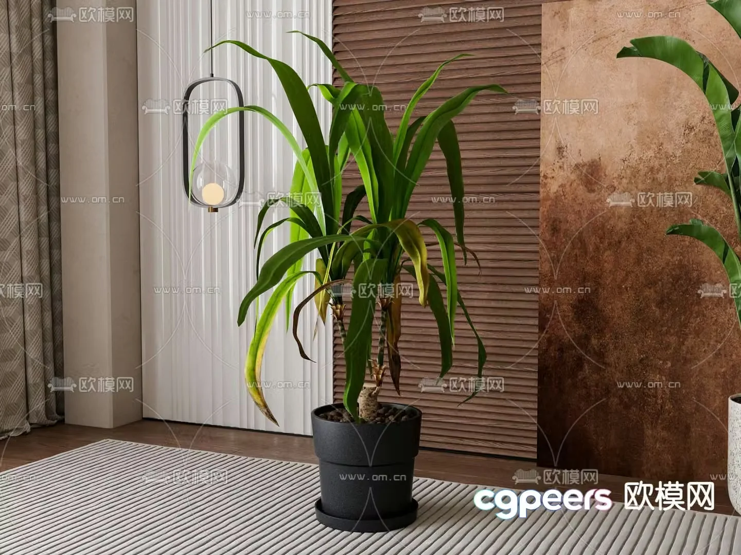 Potted plants Bonsai Green plants 3D model