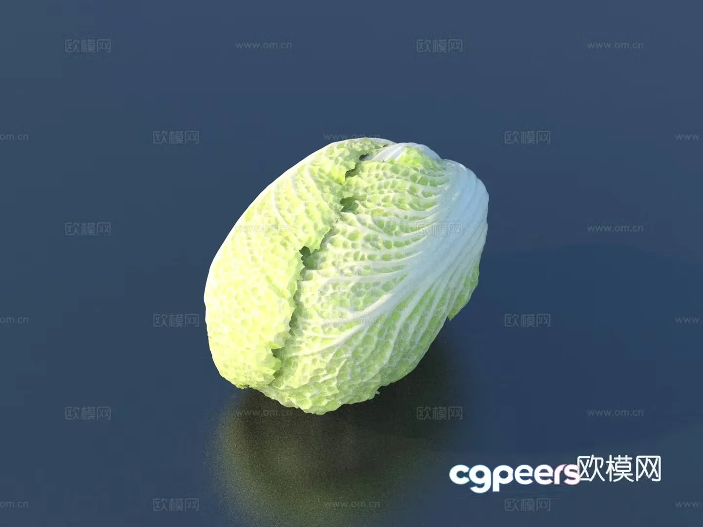 Vegetable vegetables cabbage leaf food 3D model