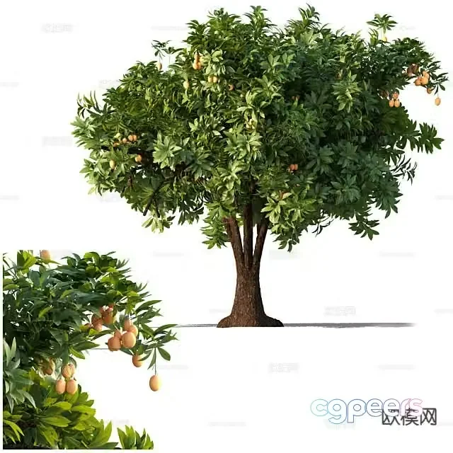 Big tree tree fruit tree 3d model