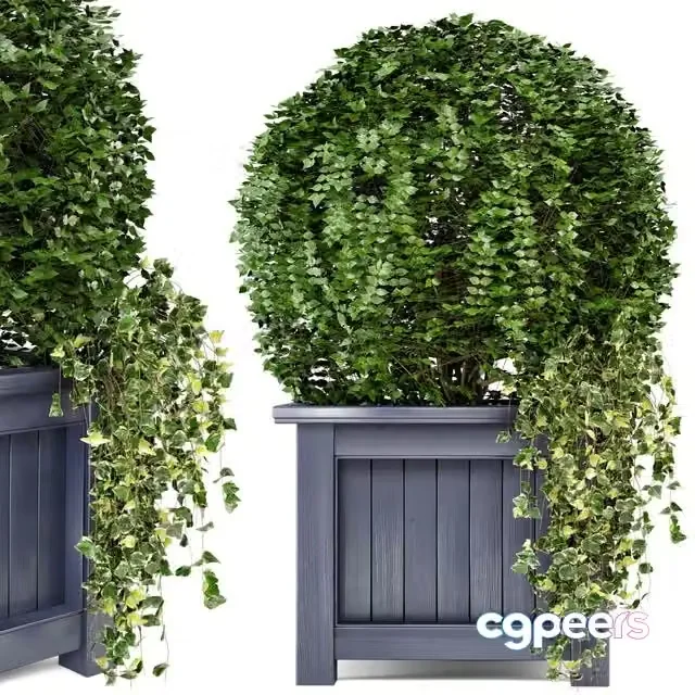3ds Max Free – Outdoor Plants in Wooden Pot – Set 34