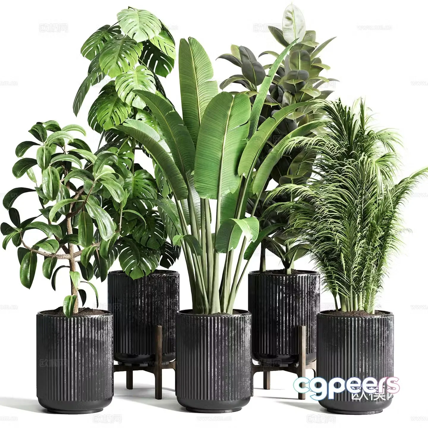 Green plant potted 3D model