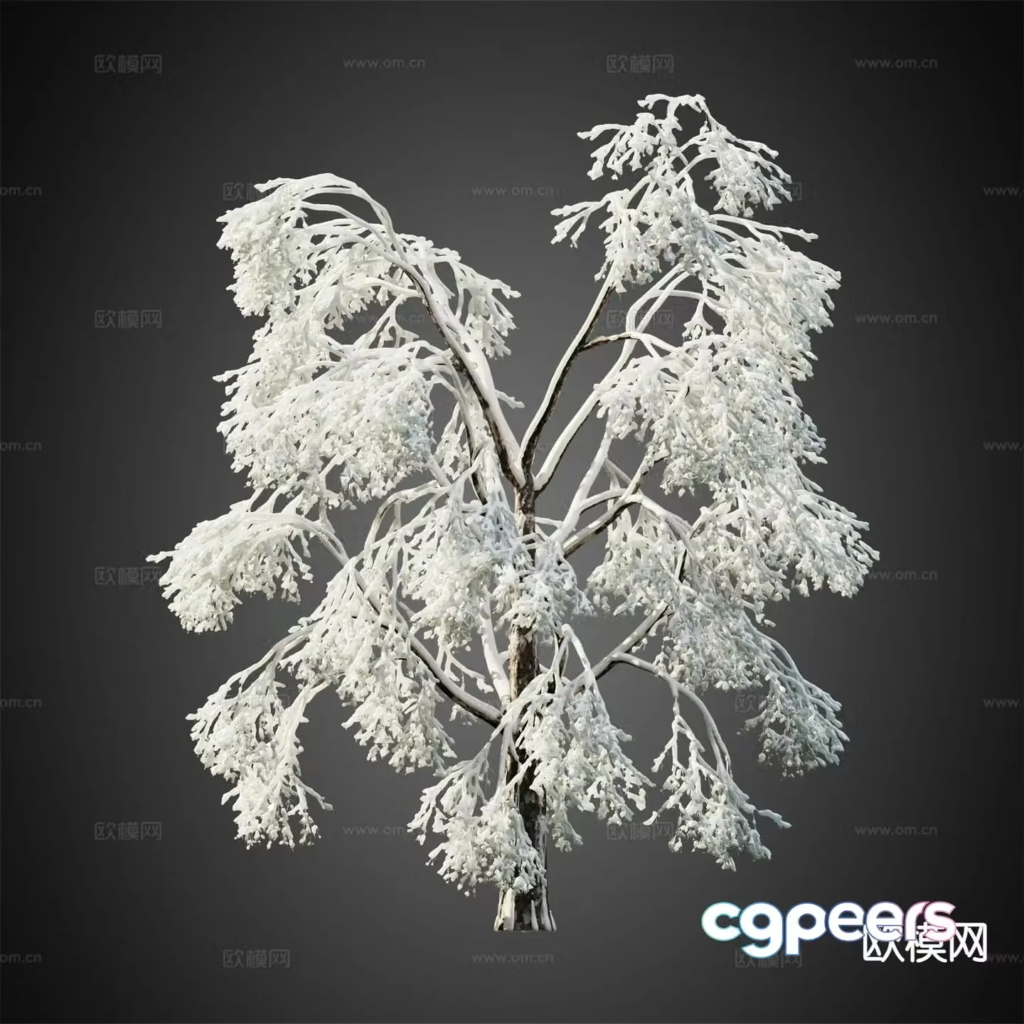 Snow-covered trees Winter trees Landscape trees 3d model