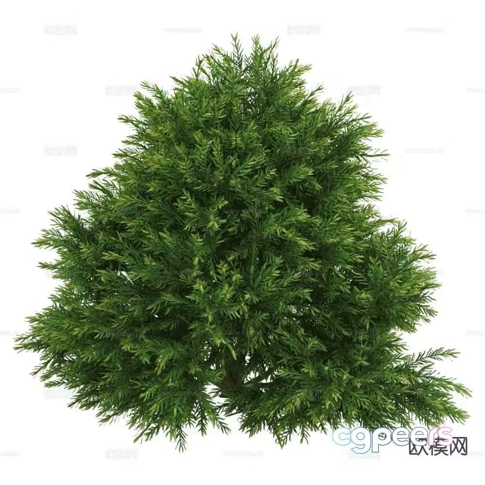 Landscape shrub green plants plant 3d model