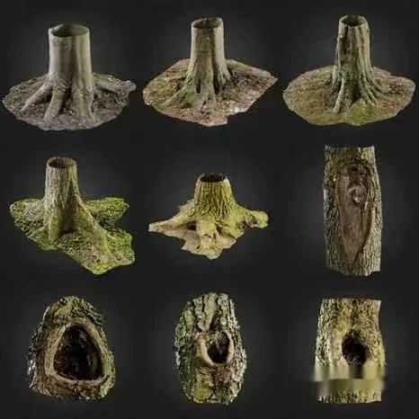 Tree Stump Images 3D Model – 11430 – VRAY Render