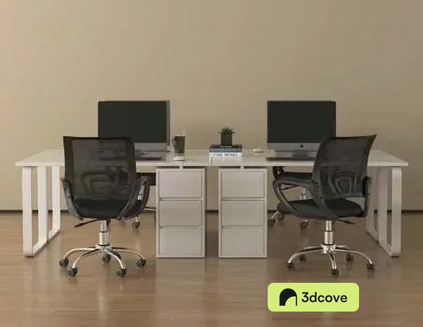 Two Computer Monitors