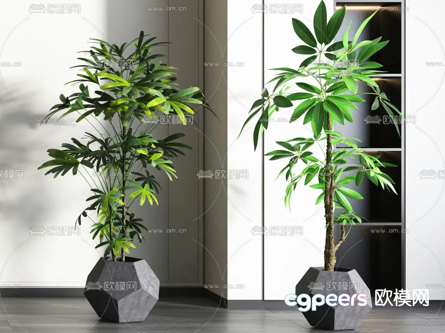 potted bonsai green plant 3d model