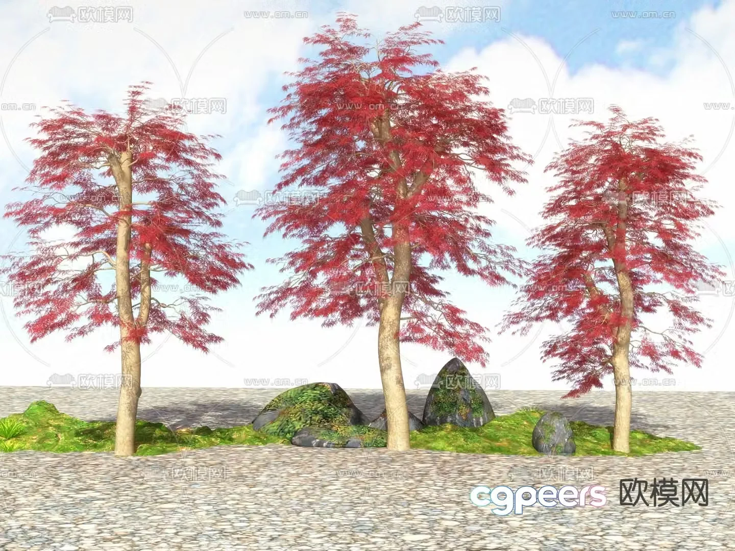 Landscape tree Street tree Big tree Red maple leaf tree 3d model