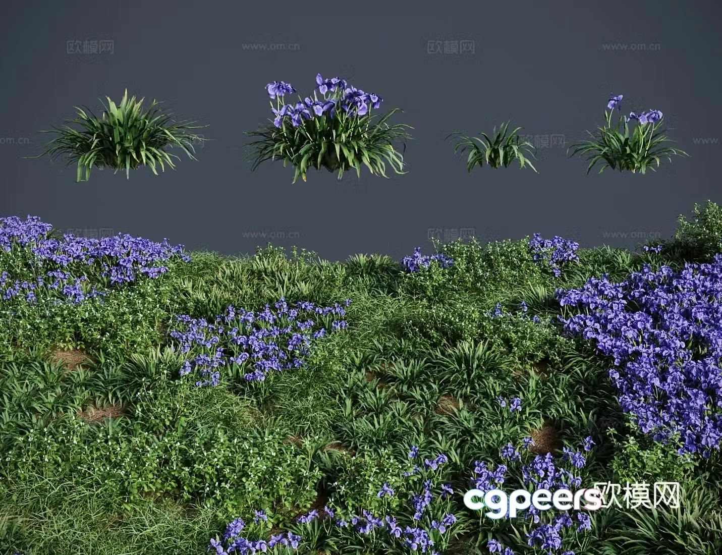 Modern lawn lawn wellside grass lawn shrub 3d model