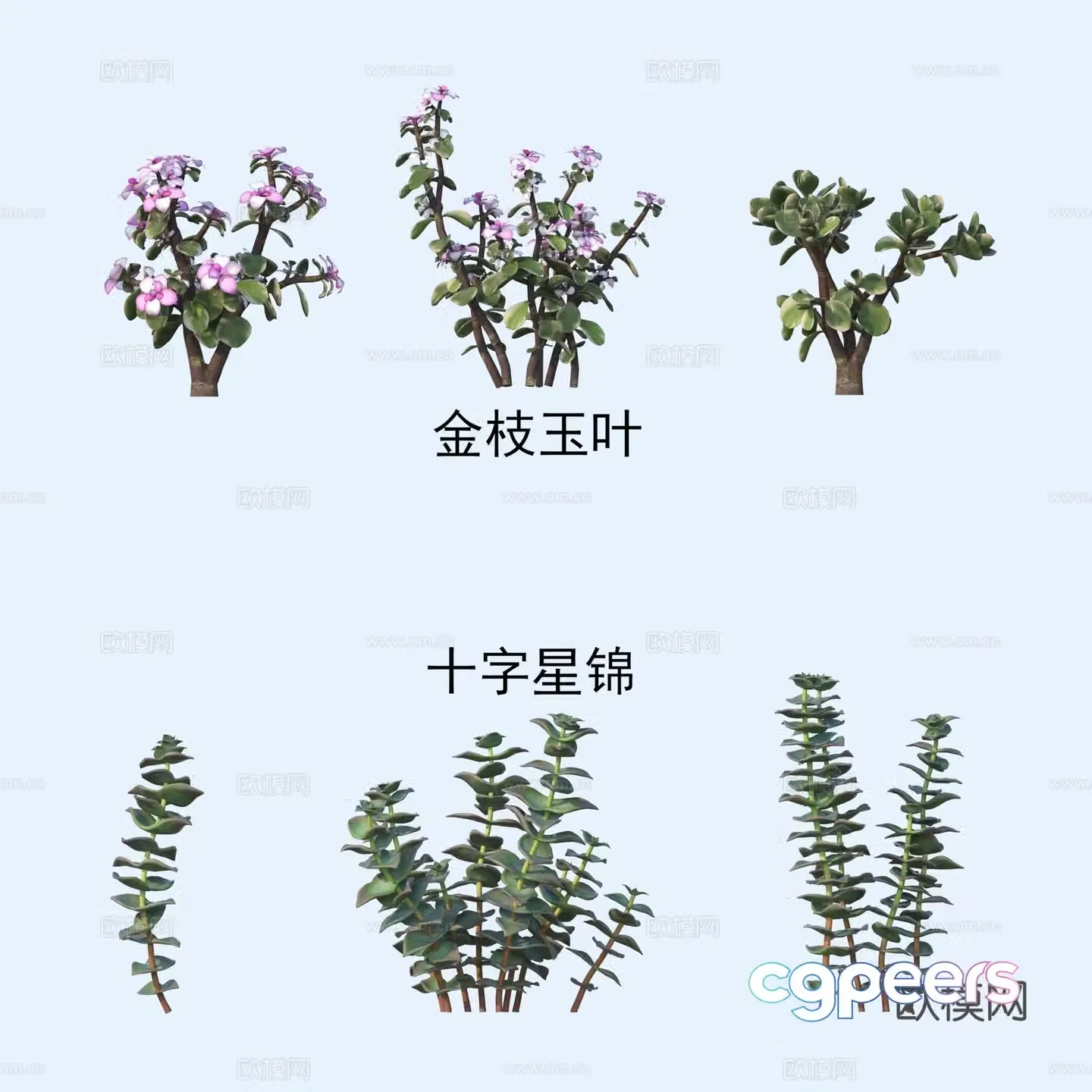 Plants flowers golden branches and leaves cross star brocade 3D model