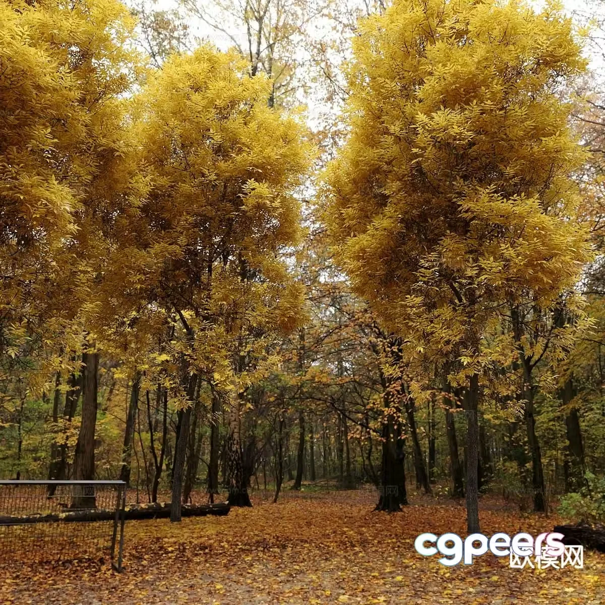 garden landscape forest 3d model