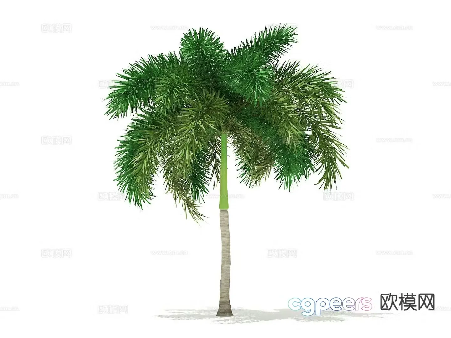Trees Landscape Trees Street Trees Palm Trees 3D Model