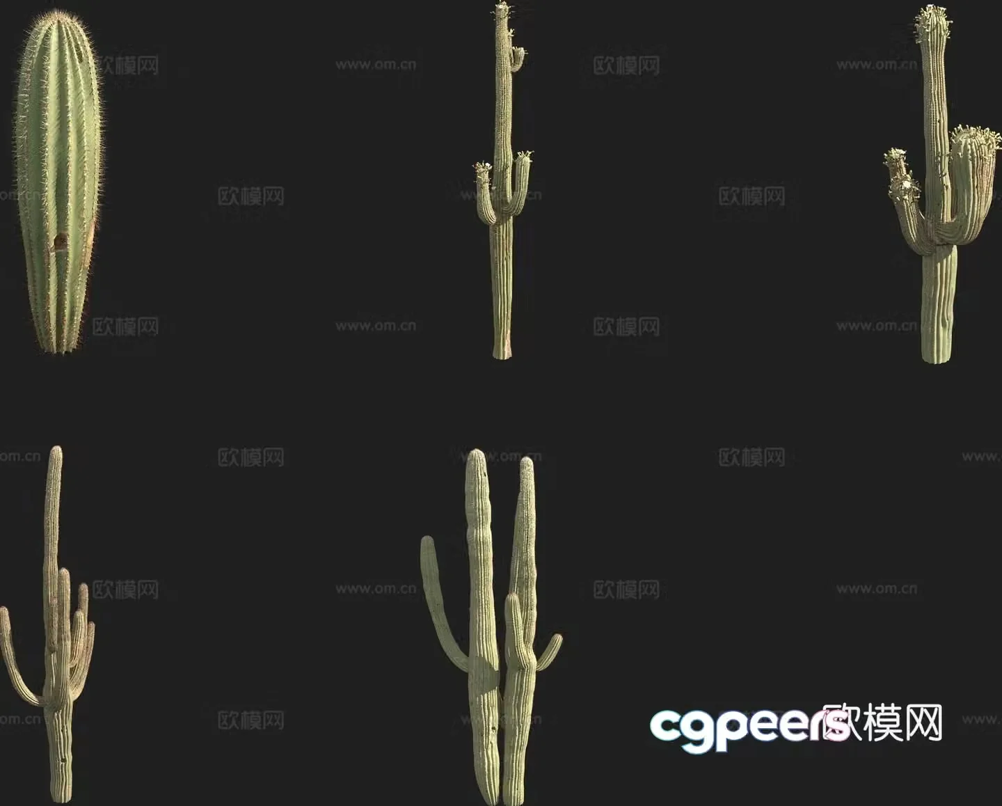 Giant Column cactus column 3d model