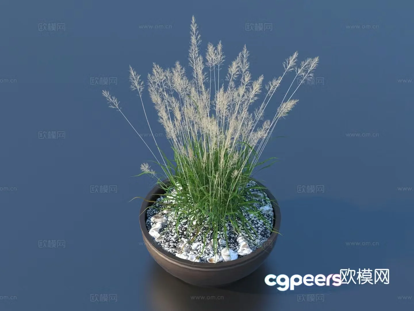 Flower pot pot green plants plant 3d model