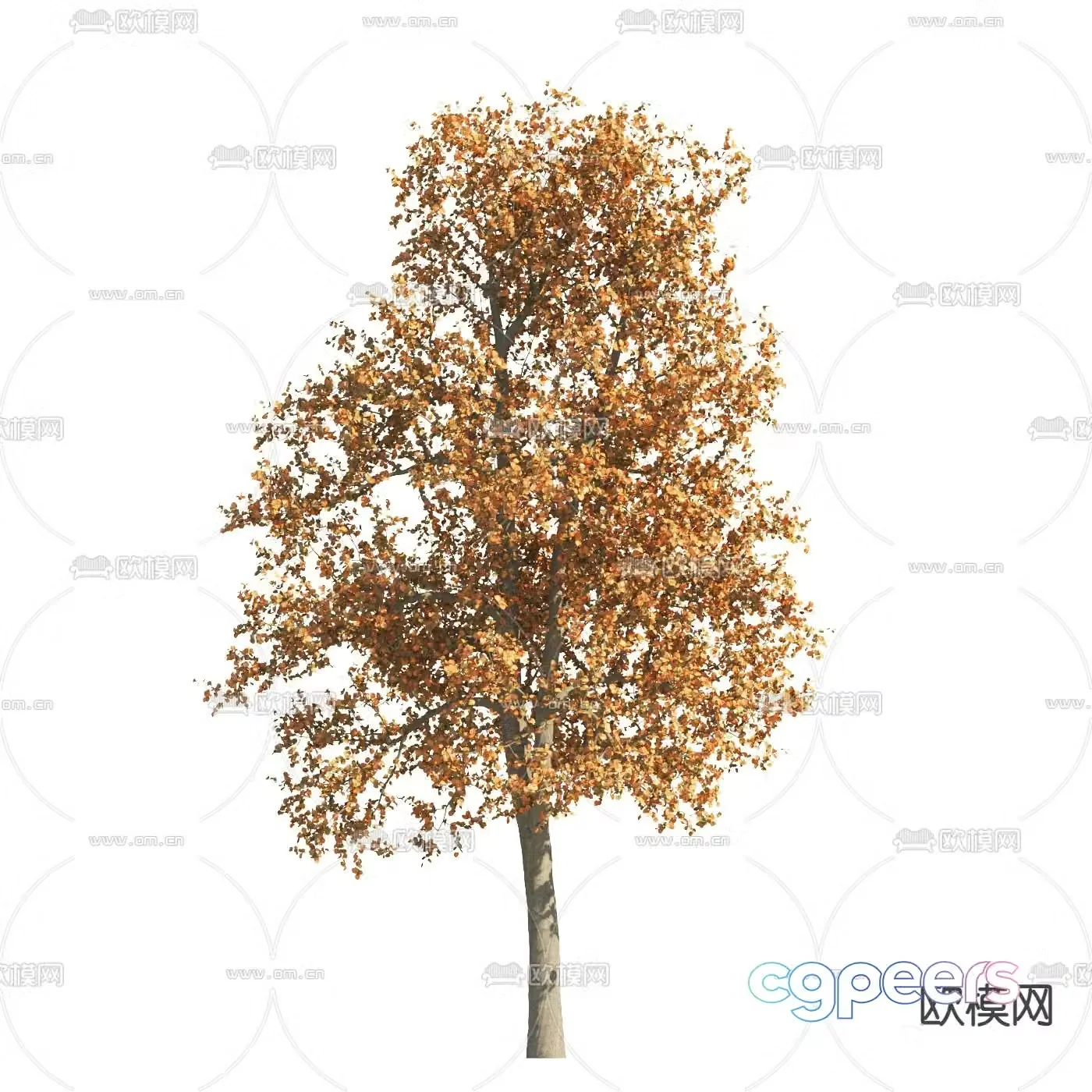Deciduous tree Autumn tree Yellow leaf tree Landscape tree 3d model