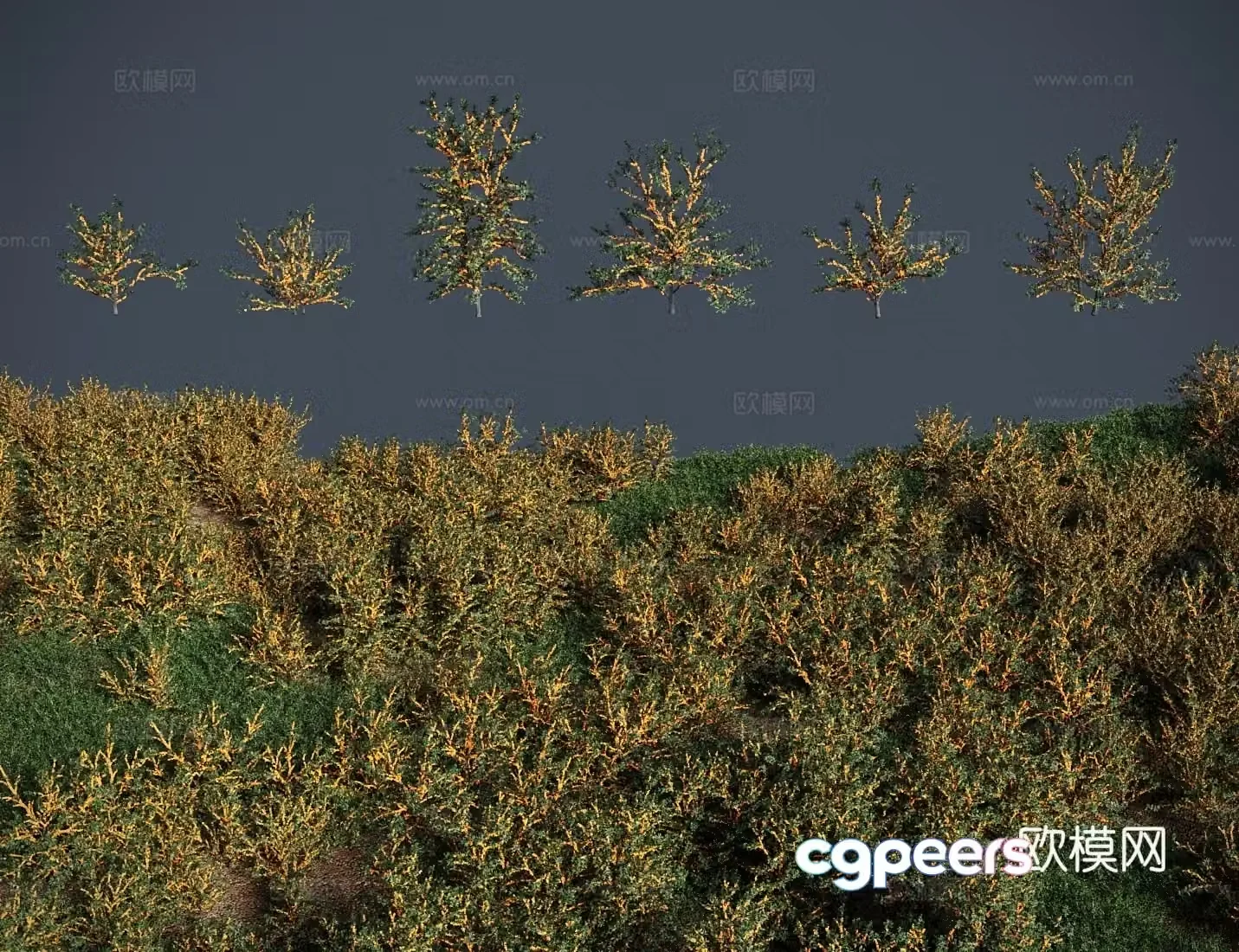 Modern grass lawn sea buckthorn meadow shrub 3d model
