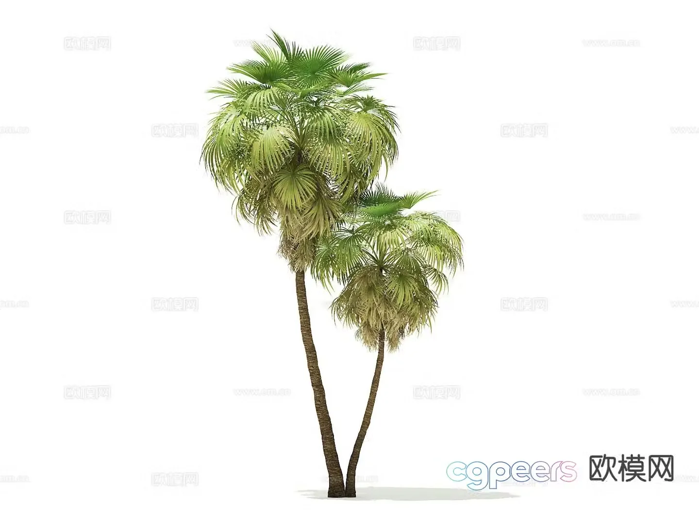 Landscape tree Palm tree Walking tree Tree Tropical tree 3d model