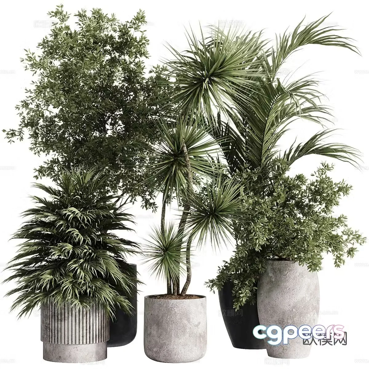 New Chinese green plant potted 3D model