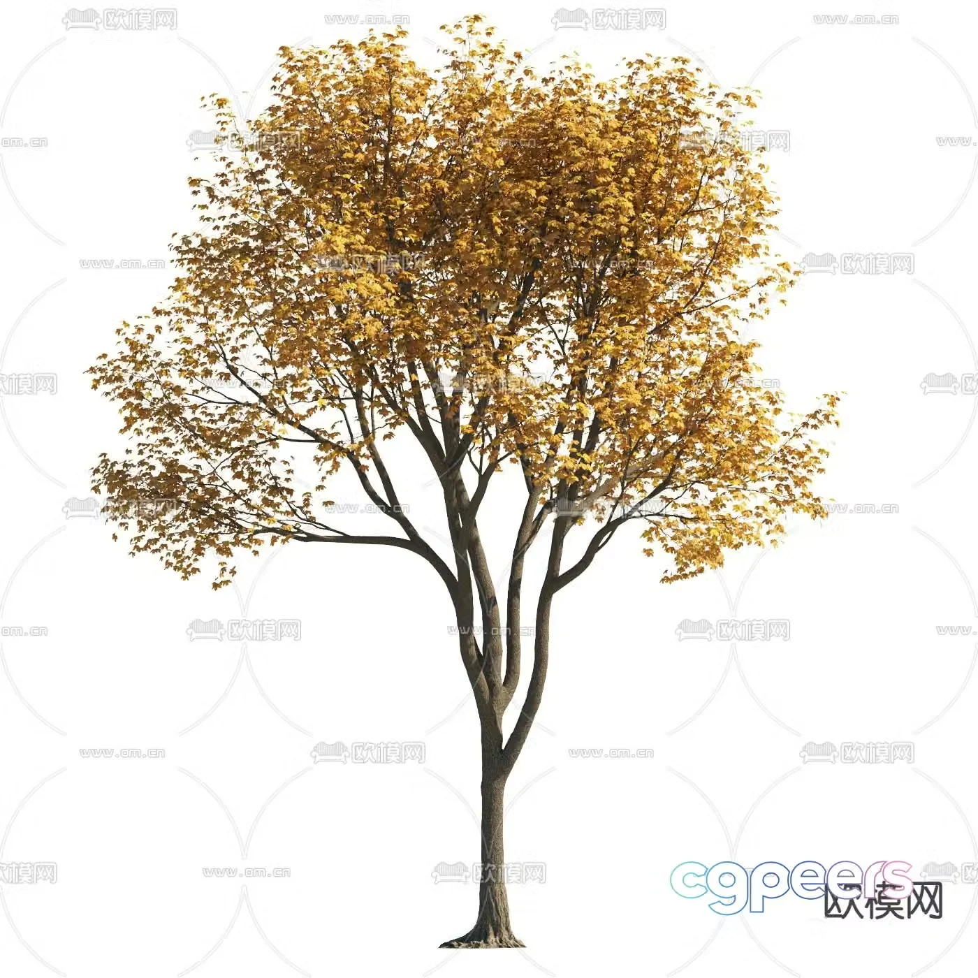 Yellow leaf tree Autumn tree Landscape tree 3d model