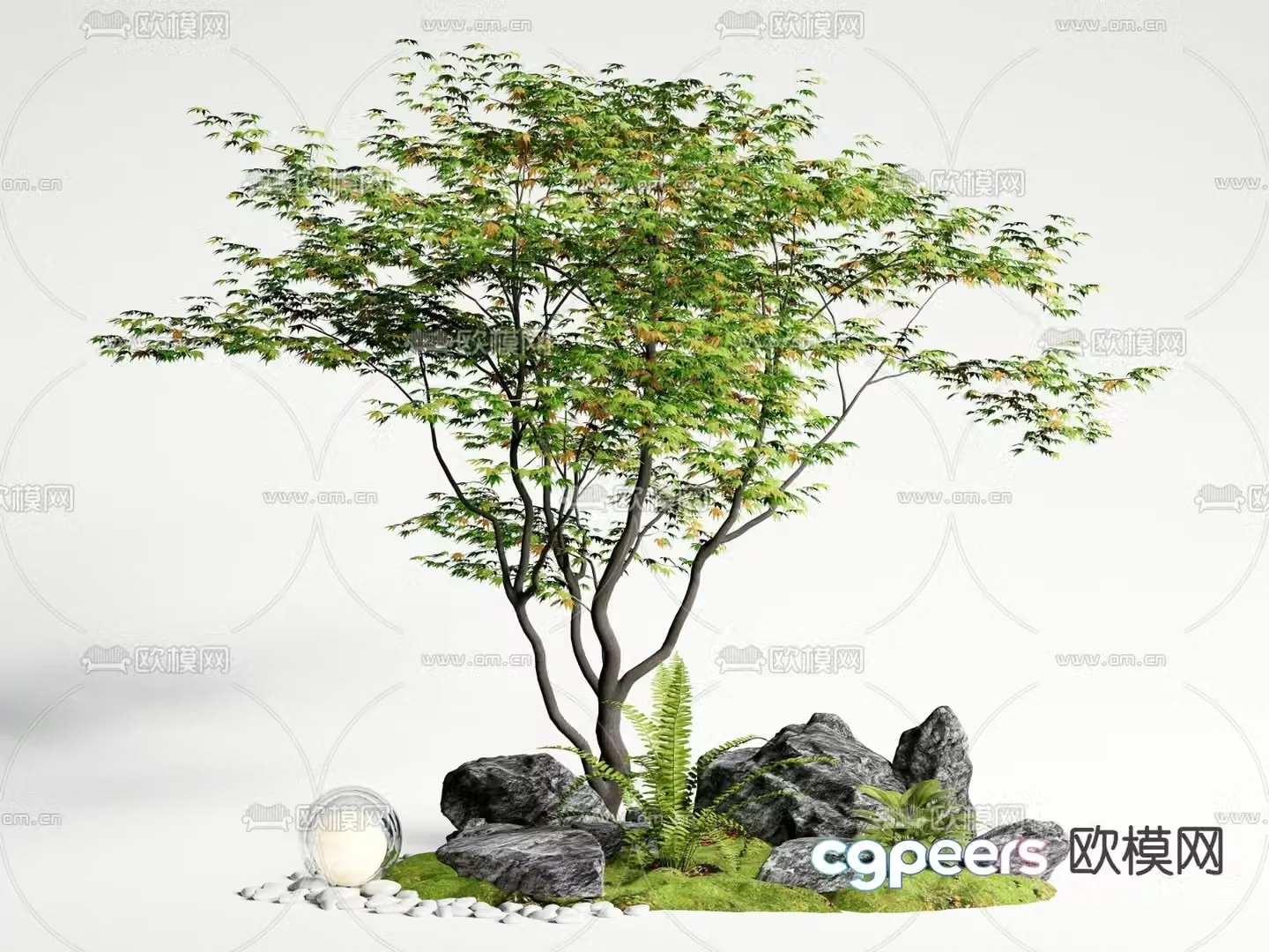 Landscape sketch plant landscaping 3D model