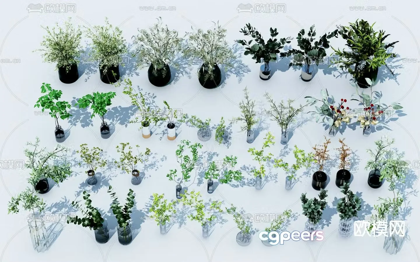 Modern potted plants 3d model