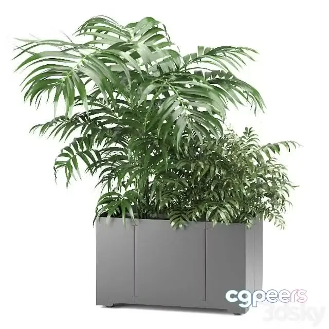 3ds Max Free – Palm tree in a pot 02 (CAPE Collection)
