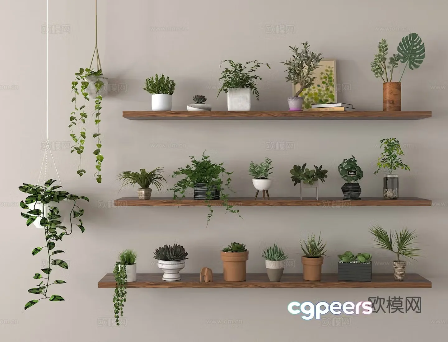Potted plants green plants hanging basket bonsai 3d model