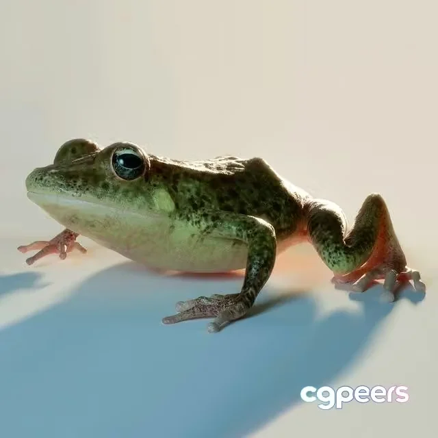 3ds Max Free – Frog