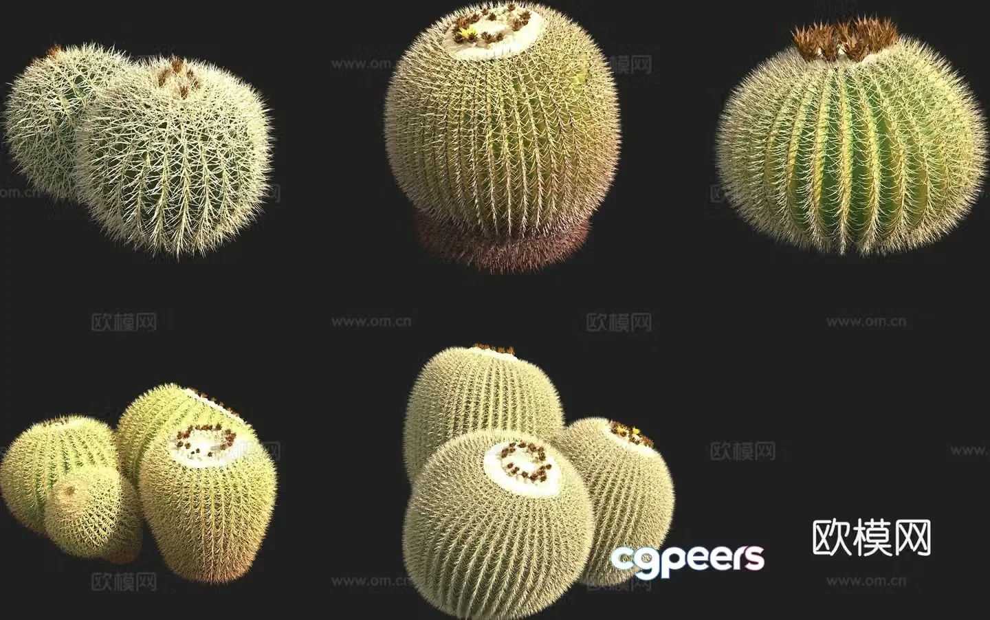 Golden amber cactus 3d model