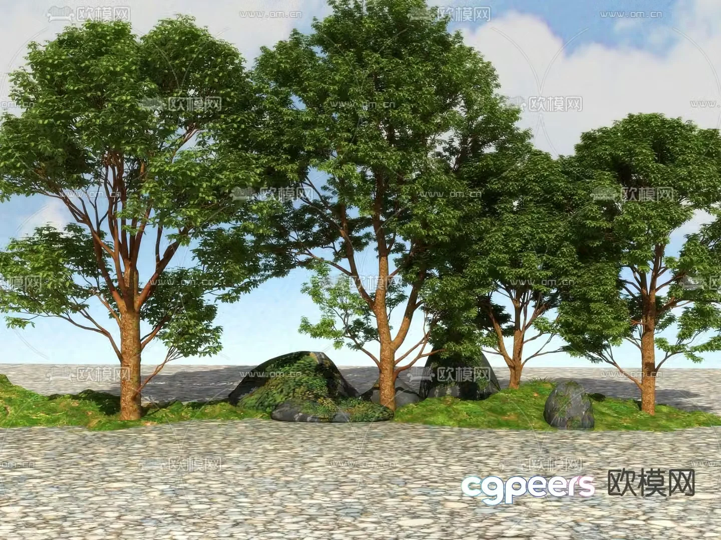 Landscape tree big tree camphor tree 3d model
