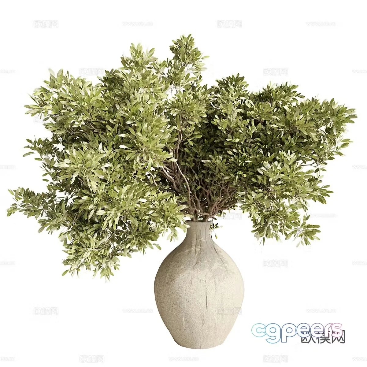 Modern vase floral arrangement green plant 3d model