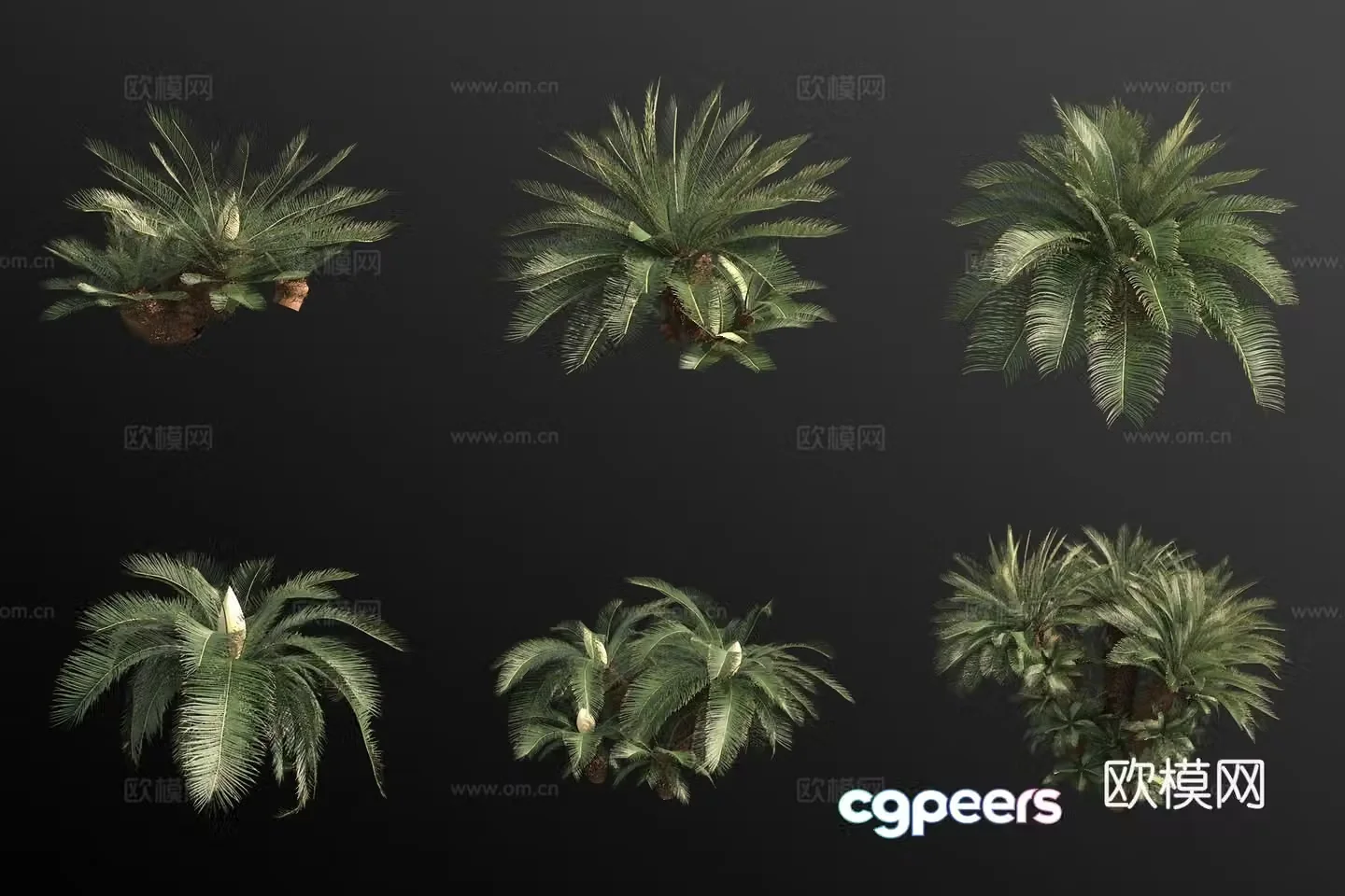 3d model of iron tree flower and banana shrub