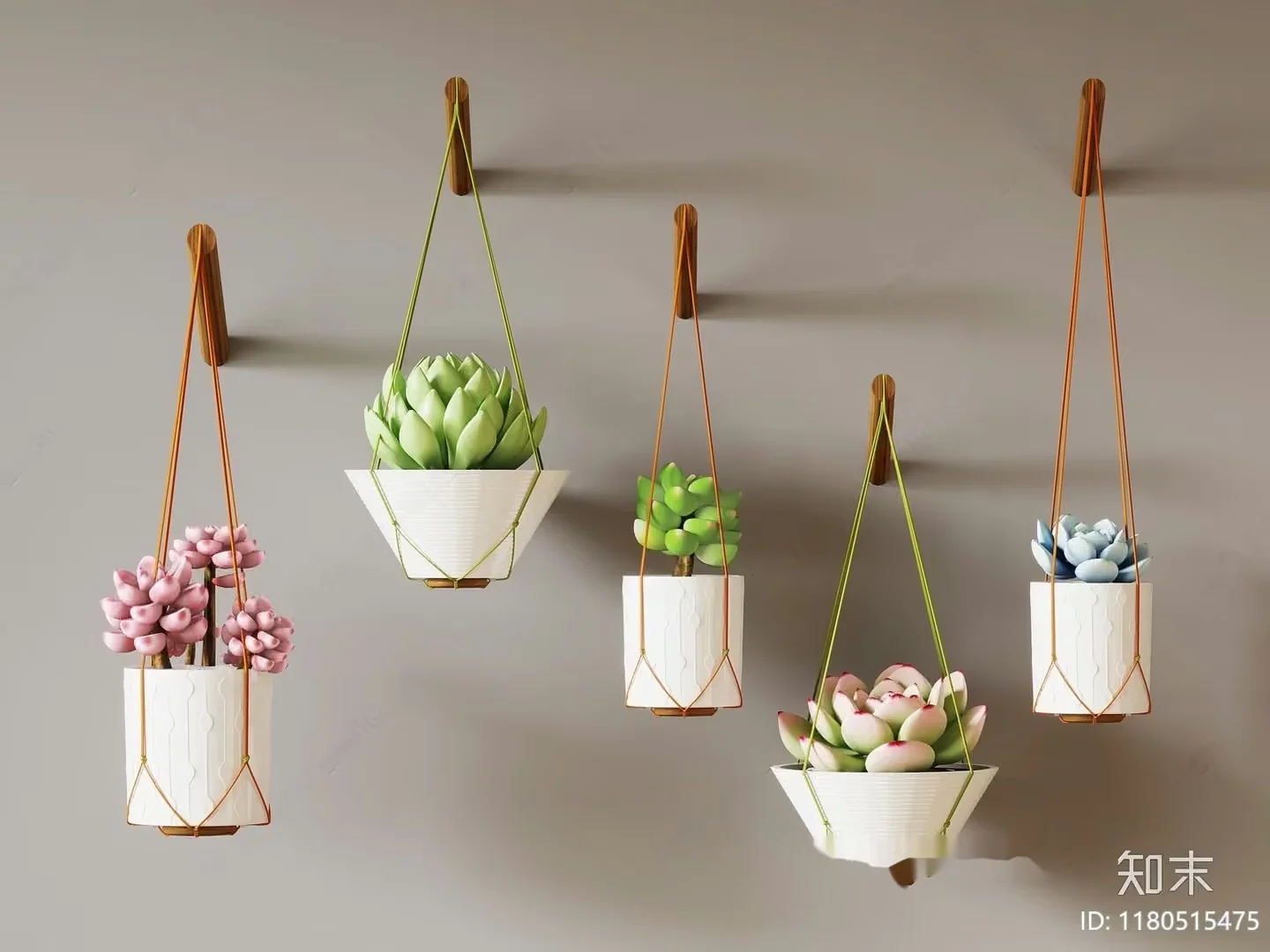 Succulent Hanging Planters 3D Model – 2188 – VRAY Render
