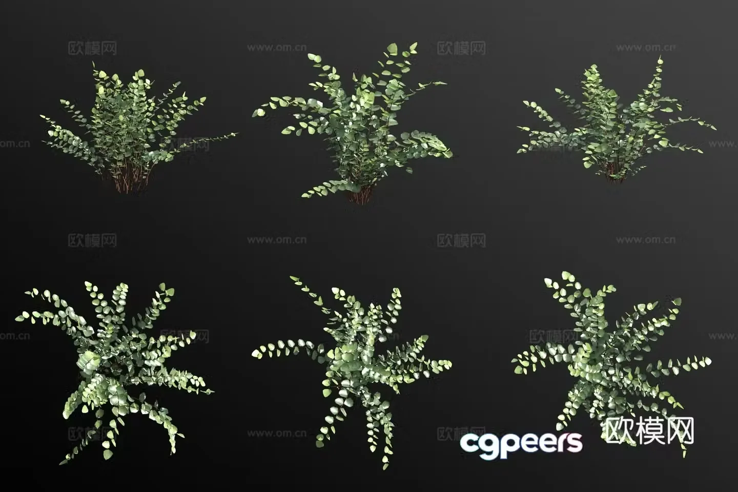 Button fern flowers and grass 3d model