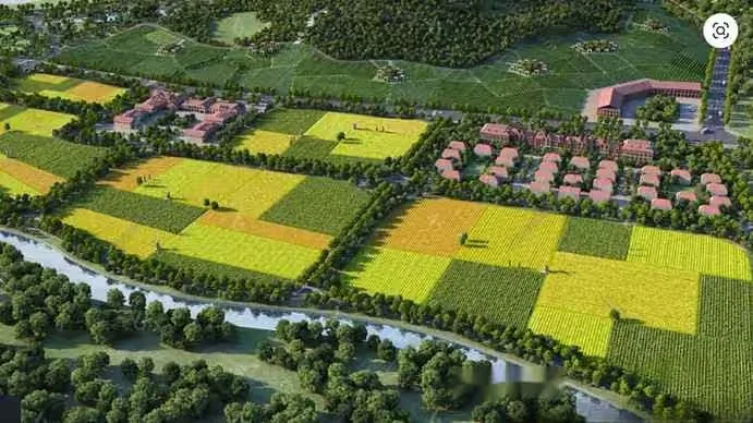 Aerial View Of A Farm With Fields And Buildings 3D Model – 13498 – VRAY Render