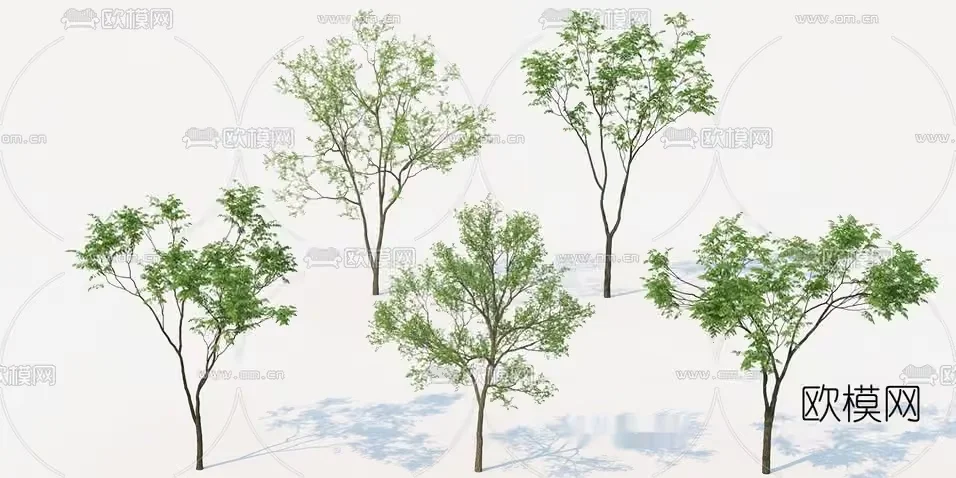 A Group Of Trees 3D Model – 20692 – VRAY Render