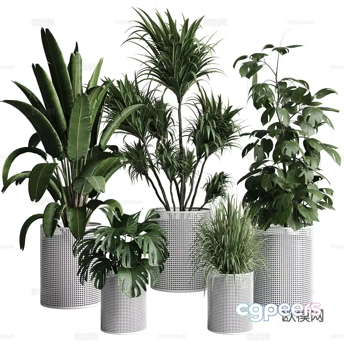 Modern green plant potted 3D model
