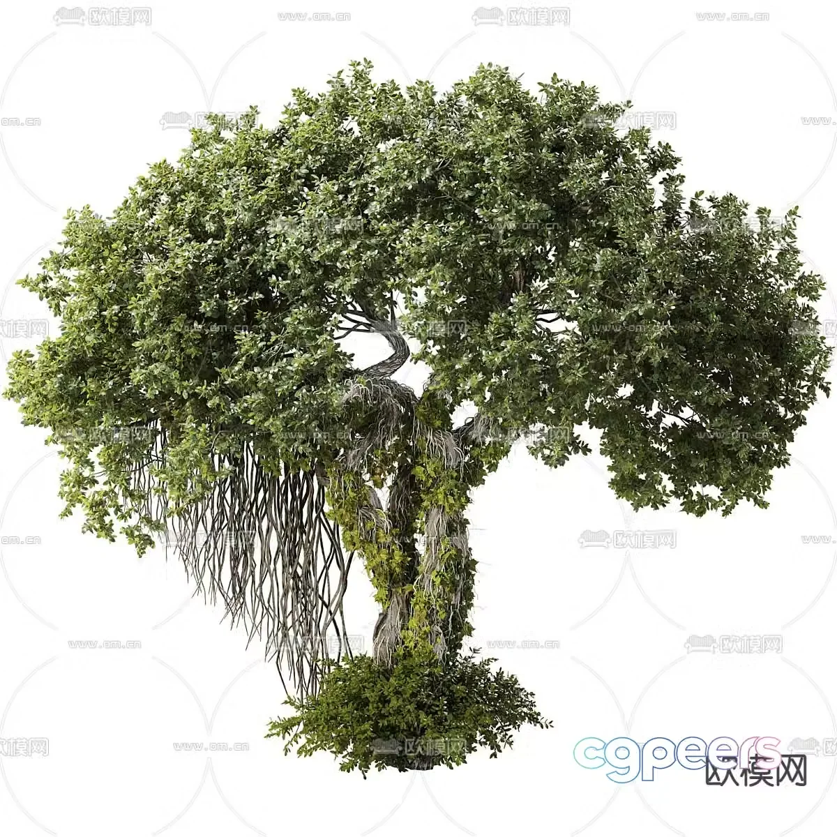Landscape tree ancient tree 3d model