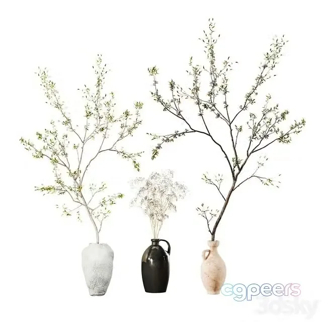 3ds Max Free – Indoor Plant 01