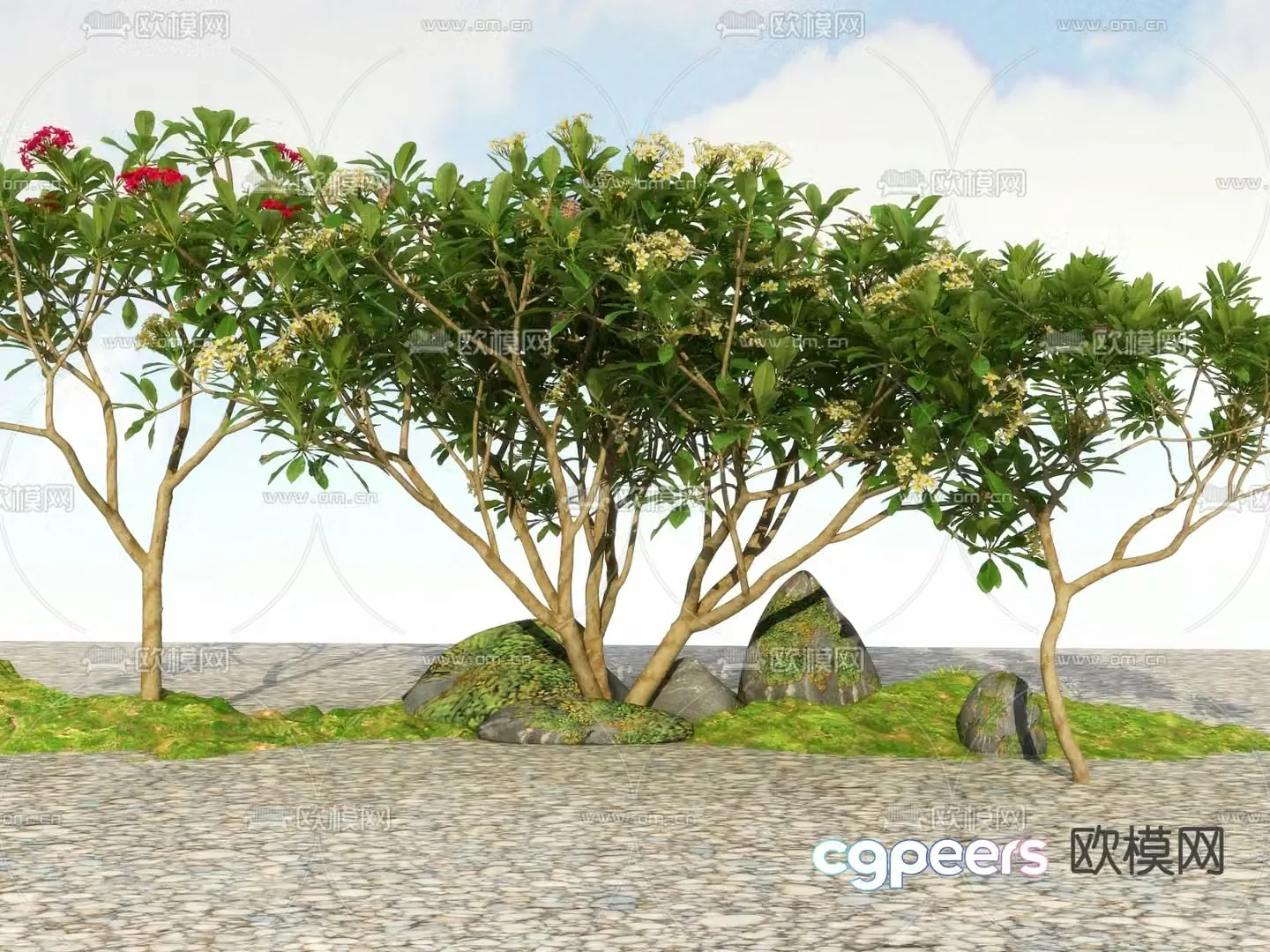 Big tree Landscape tree Street tree 3d model