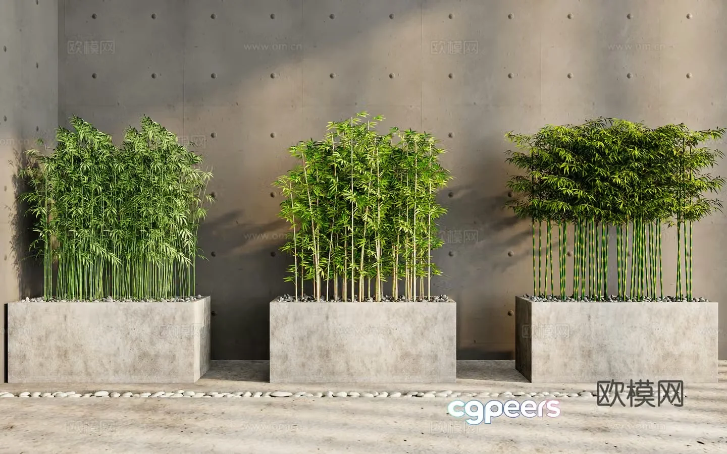 bamboo bamboo forest landscape bamboo garden bamboo 3d model