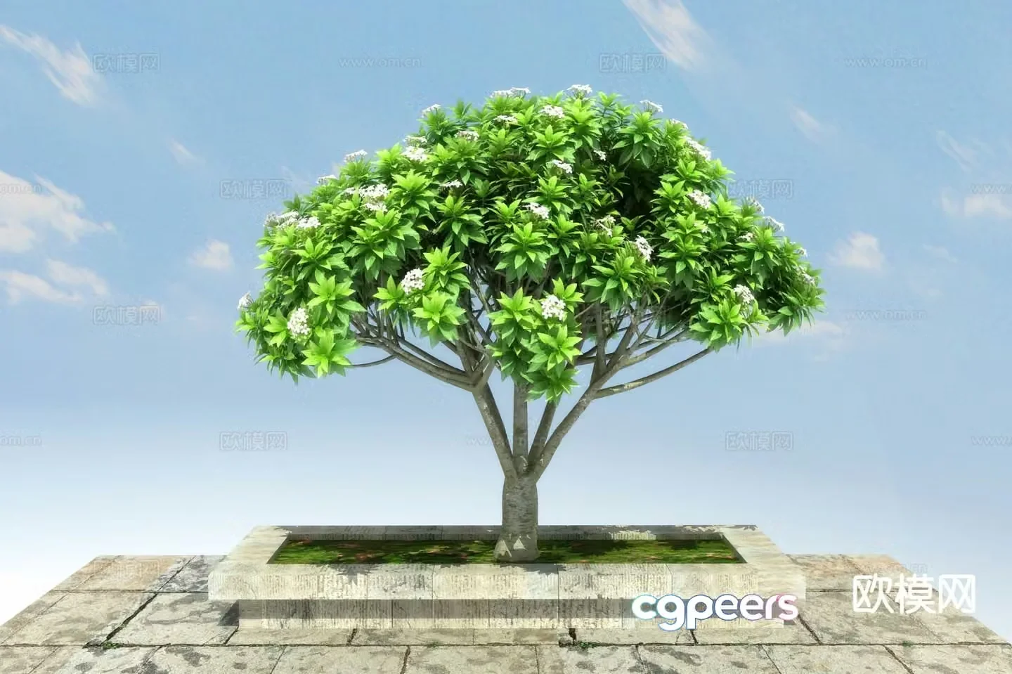 Landscape tree 3d model