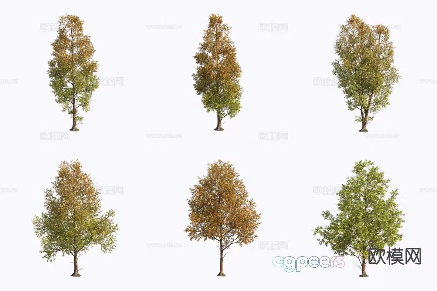 Flying feathers pine tree 3d model