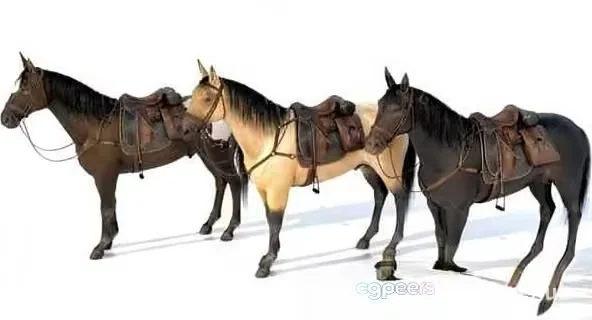Three Saddled Horses 3D Model – 20932 – VRAY Render