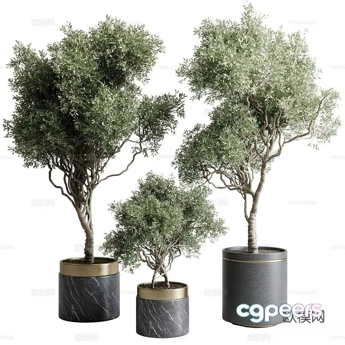 Potted green plants 3D model