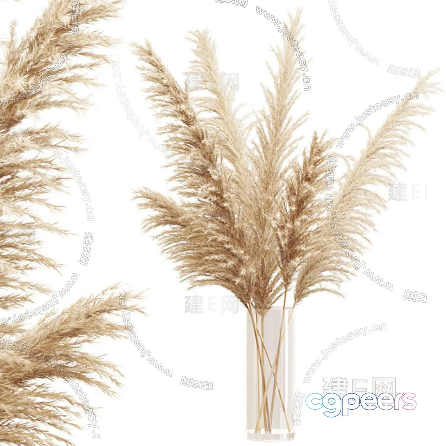 Pampas Grass In A Vase 3D Model – 18798 – CORONA Render