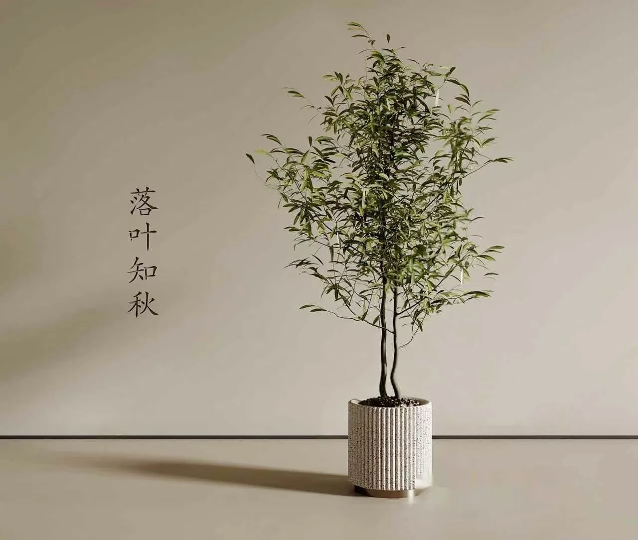 A Potted Plant In A White Pot 3D Model – 5117 – VRAY Render