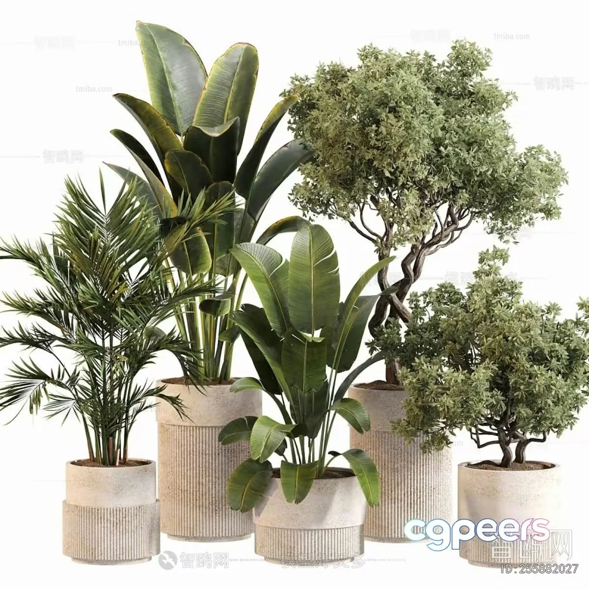 Potted Plants In A Row 3D Model – 14928 – VRAY Render